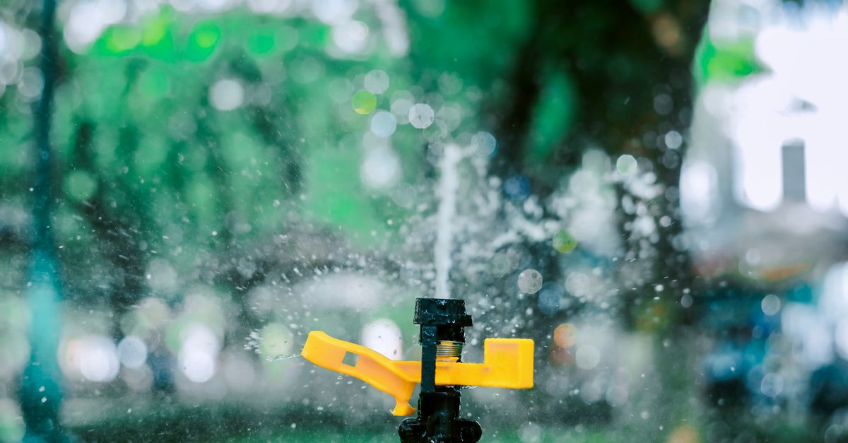 Best Smart Irrigation Controllers in the UK (2026): Five Researched Picks for a Water-Wise Garden